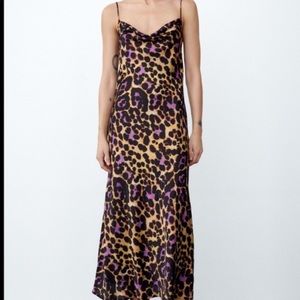 Zara blogger favorite leopard Dress
